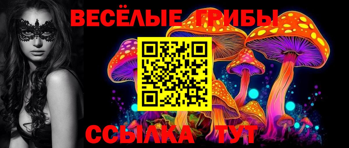 Галлюциногенные грибы Cubensis Нарткала